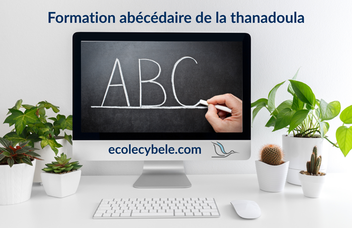 Formation-abc-thanadoula-Ecole-Cybele_700px