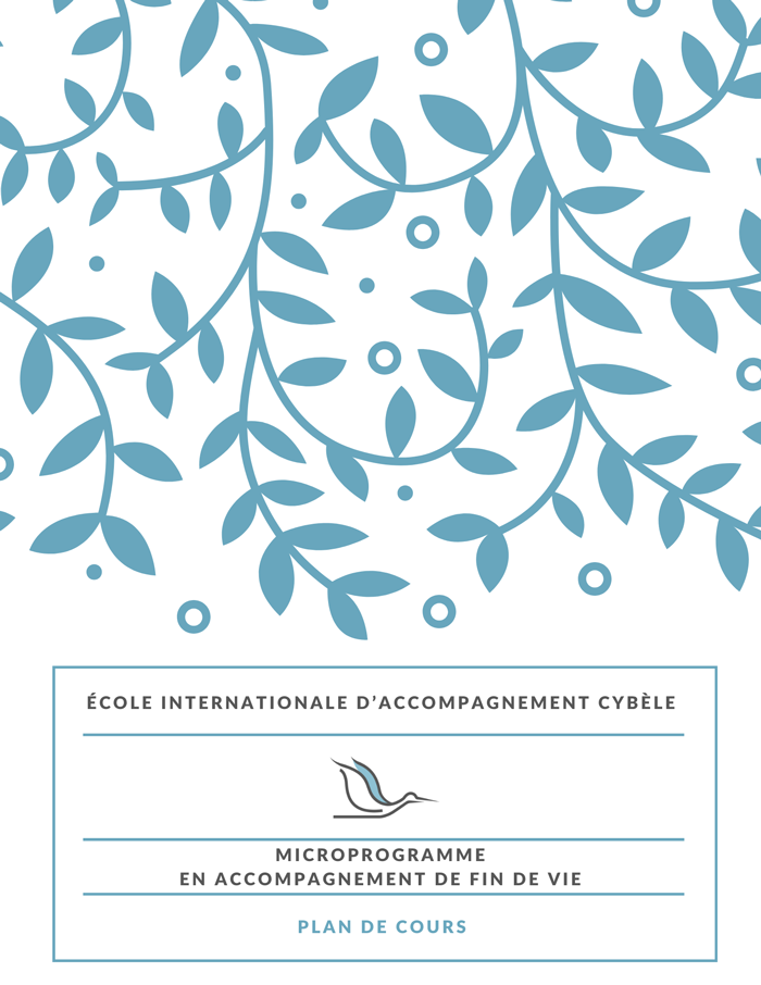 Vignette-plan-cours-microprogramme-fin-vie_700px