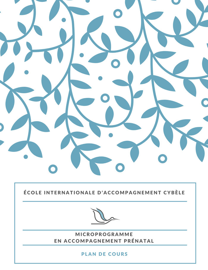 Vignette-plan-cours-microprogramme-prenatal_700px