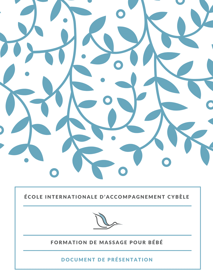 Vignette-presentation-formation-massage-bebe_700px